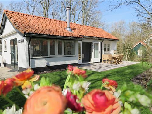 Ferienhaus - 4 Personen -  - 4371PA - Koudekerke-Dishoek