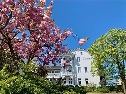 Semesterhus/Semesterlägenhet - 5 personer -  - Katharinenstraße 2 Whg. - 18586 - Göhren (Ostseebad)