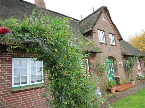 Holiday apartment - 4 persons -  - Sieversflether Straße - 25882 - Tetenbüll