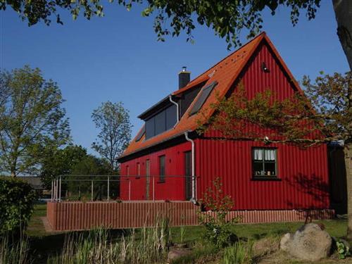 Holiday home - 4 persons -  - Boddenblick, Terrasse, Sauna - 18317 - Saal / Neuendorf Heide