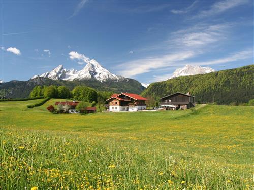 Ferielejlighed - 2 personer -  - Reitweg - 83483 - Bischofswiesen