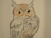 Bild 95