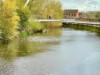 Image 30