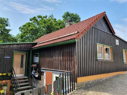 Ferienhaus - 4 Personen -  - Tanner Schulstraße - 38875 - Tanne