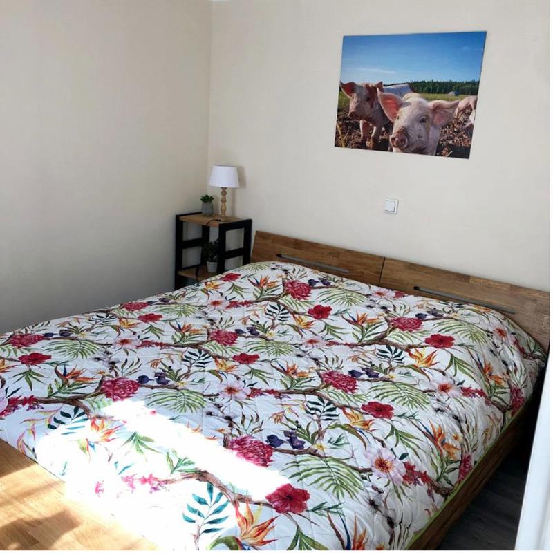 Ferielejlighed - 4 personer -  - Osterodener Weg - 49586 - Merzen