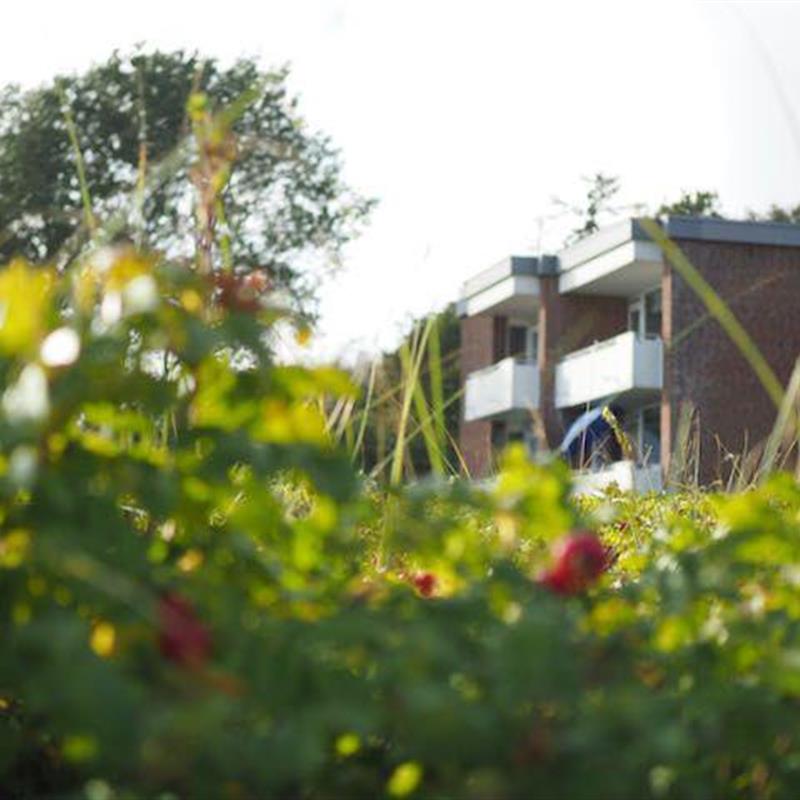 Ferielejlighed - 4 personer -  - Am Flugplatz - 25938 - Wyk