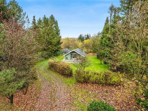 Sommerhus - 6 personer -  - Østmarken - Arrild - 6520 - Toftlund