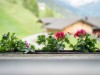 Bild 16