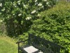 Bild 22 - Tomt