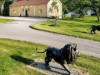 Bild 9 - Ude