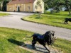 Bild 40 - Ude