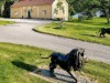 Bild 9 - Ude