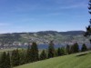 Bilde 11 - Ude