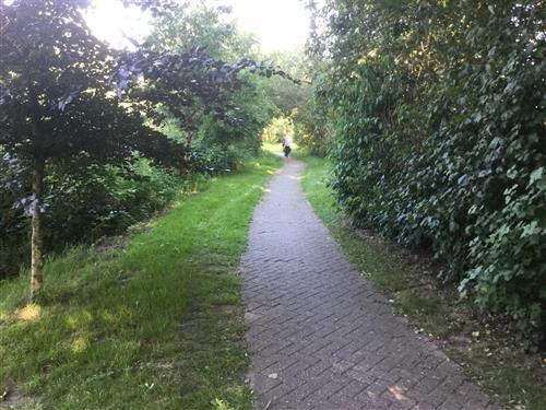 Ferielejlighed - 5 personer -  - Heuweg - 26632 - Ihlow