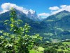 Billede 14 - Ude