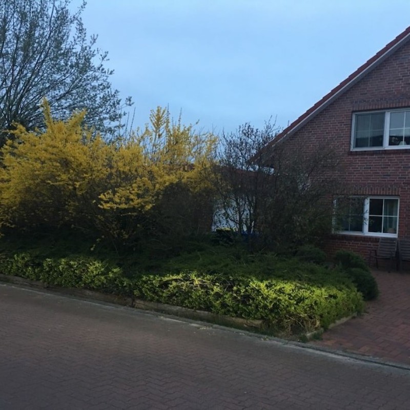 Sommerhus - 4 personer -  - 26629 - Ostgroßefehn