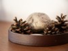 Billede 8 - Inde