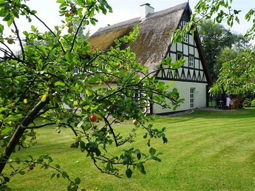 Ferielejlighed - 4 personer -  - Schwarbe Siedlung - 18556 - Altenkirchen