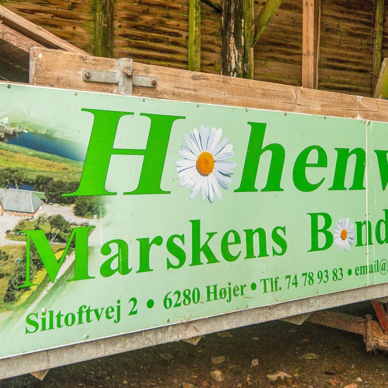 Ferienhaus - 4 Personen -  - Siltoftvej 2 (lejl. - Höjer - 6280 - Southern West Coast