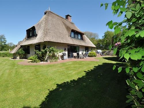 Sommerhus - 6 personer -  - Birkenweg - 25826 - St Peter-Ording