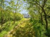 Bild 36
