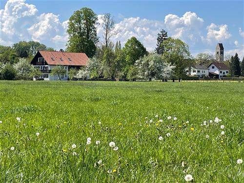 Ferieleilighet - 2 personer -  - Holzerstraße - 82380 - Peißenberg