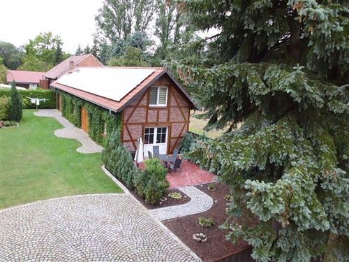 Ferieleilighet - 2 personer -  - Buschmühle - 15910 - Schlepzig