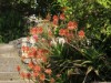 Image 14