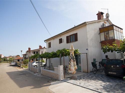 Ferienhaus - 6 Personen -  - Saini - 52466 - Novigrad