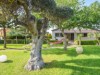 Billede 8