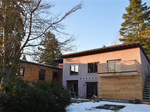 Ferieleilighet - 4 personer -  - 54531 - Manderscheid