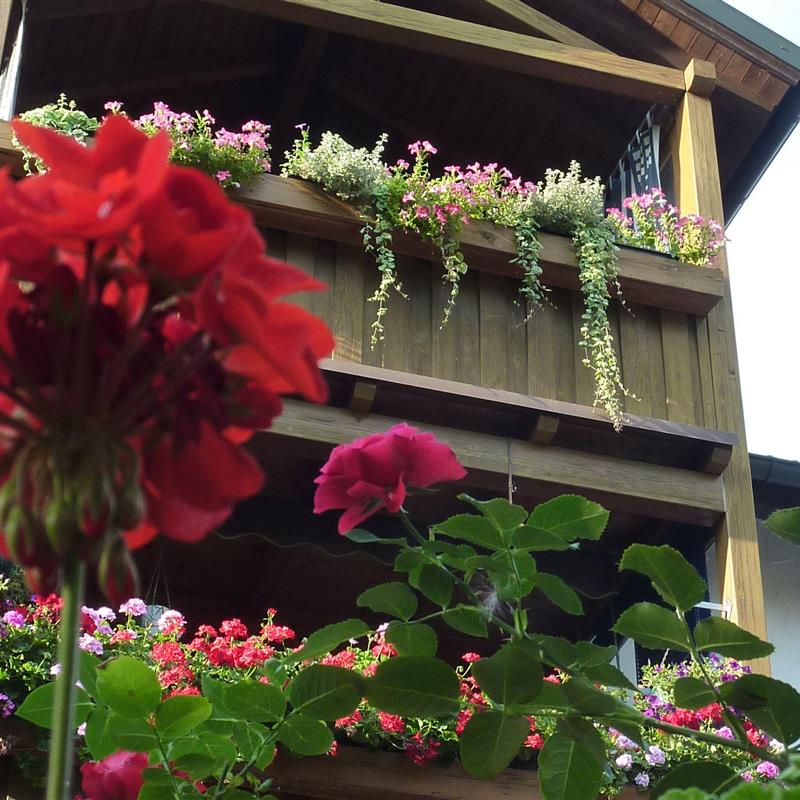 Ferielejlighed - 3 personer -  - Josefsburggasse - 84503 - Altötting