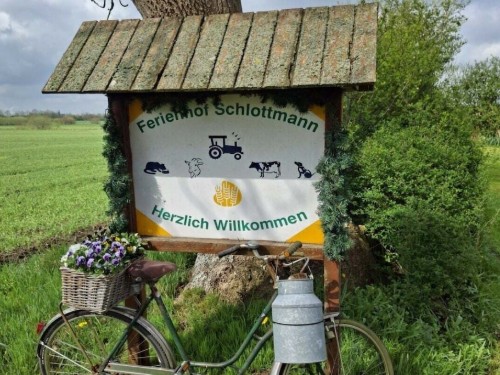 Sommerhus - 4 personer -  - 25917 - Achtrup