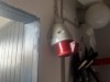 Billede 34