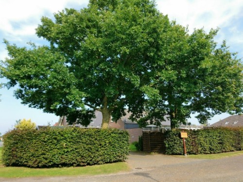 Feriehus - 6 personer -  - 26969 - Butjadingen - Tossens
