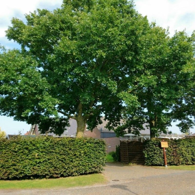 Sommerhus - 6 personer -  - 26969 - Butjadingen - Tossens