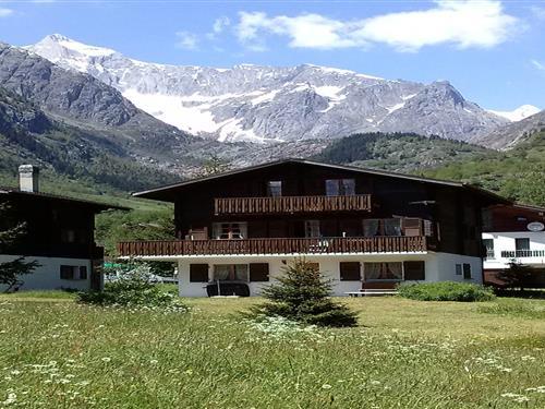 Holiday apartment - 6 persons -  - 3984 - Fieschertal