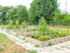 Bild 33 - Ude