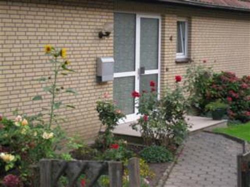 Ferienwohnung - 4 Personen -  - Am Hollager Berg - 49134 - Wallenhorst / Hollage