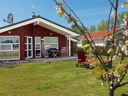 Feriehus - 6 personer -  - An den Salzwiesen - 23999 - Insel Poel / Ot Vorwerk