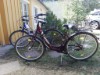 Bilde 25