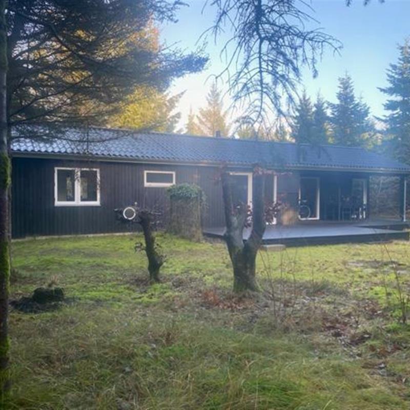 Ferienhaus - 5 Personen -  - Rævehøj - Tranum / Krogen / Tranum Klit - 9460 - Brovst