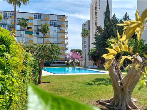 Holiday apartment - 4 persons -  - Avda. Alamos 14 bq D 3º Ap - 29630 - Benalmádena Costa