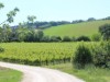 Bild 24