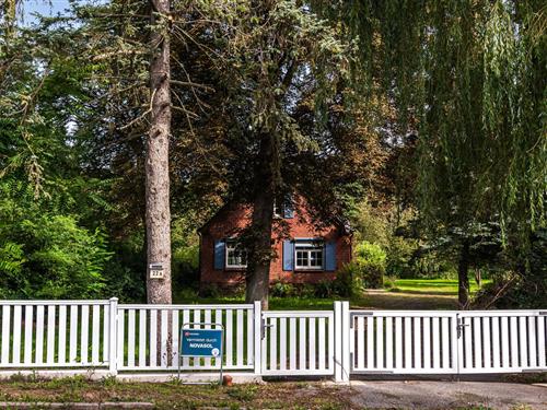 Semesterhus/Semesterlägenhet - 6 personer -  - Rudolf-Breitscheid-Straße - 23992 - Neukloster