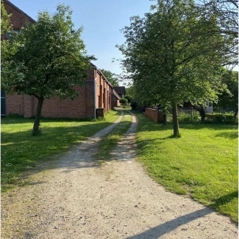 Sommerhus - 9 personer -  - 19273 - Strachau