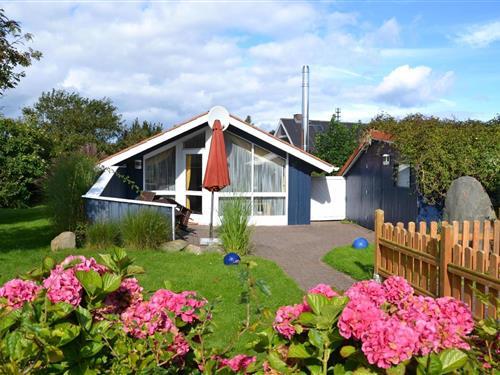 Sommerhus - 4 personer -  - Günter-Remien-Ring - 24398 - Brodersby-Schönhagen