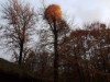 Bild 28