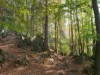 Bild 33