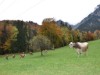 Bilde 9